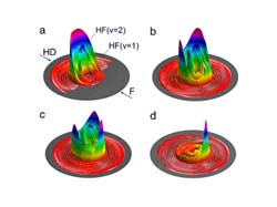 On the 3D contour plots obtained in their experiment, CAS researchers identify "dramatic" changes in the outcoming direction of product of the F+HD reaction against very small changes at collision energies around 0.5 kcal/mol. Illustrated are snapshots of the product translational energy at certain scattering angles with a range of collision energies: 0.43 kcal/mol (a); 0.48 kcal/mol (b); 0.52 kcal/mol (c); and 0.71 kcal/mol (d). (Image: By courtesy of YANG Xueming.)
