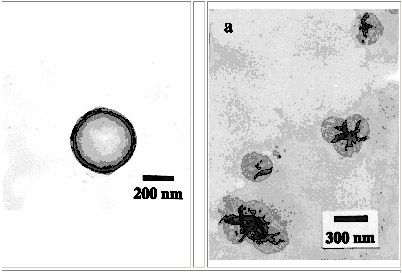 polymer hollow capsules fabricated with self-assembly based on hydrogen (left) and covalent (right) bond.