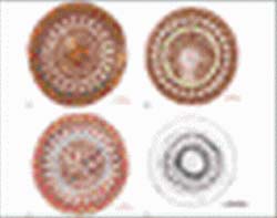 Studies shed new light on evolutionary relationship within peritrichs