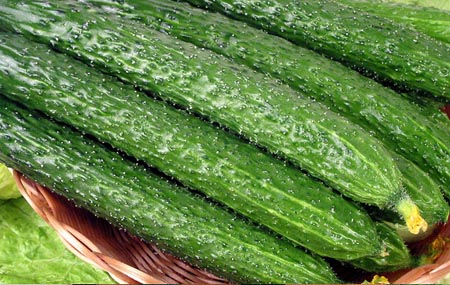 cucumber.JPG