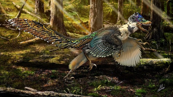 'Big Bird' Dino: Researchers Discover Largest Ever Winged Dinosaur