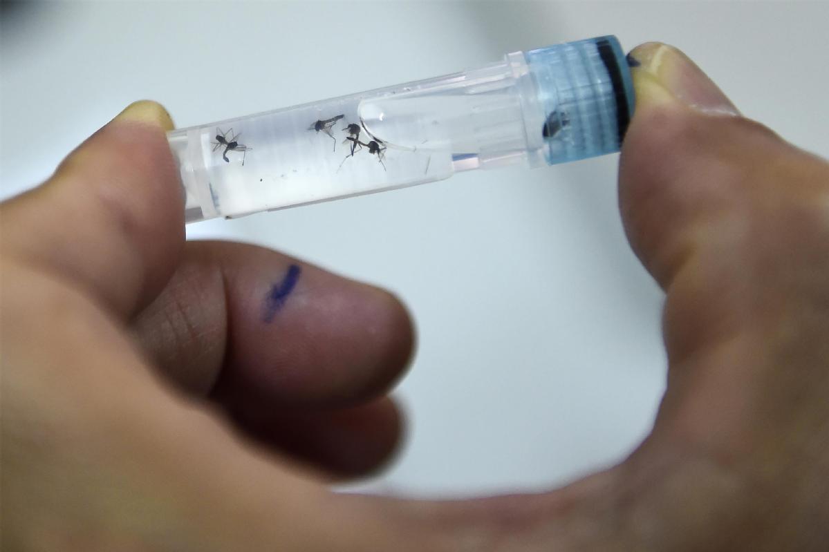 Chinese Scientists Suggest New Control Method for Dengue Virus