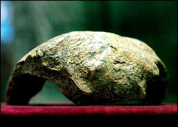 Peking Man skull on display