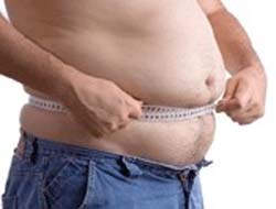 FTO gene unrelated to overweight in Chinese Han population