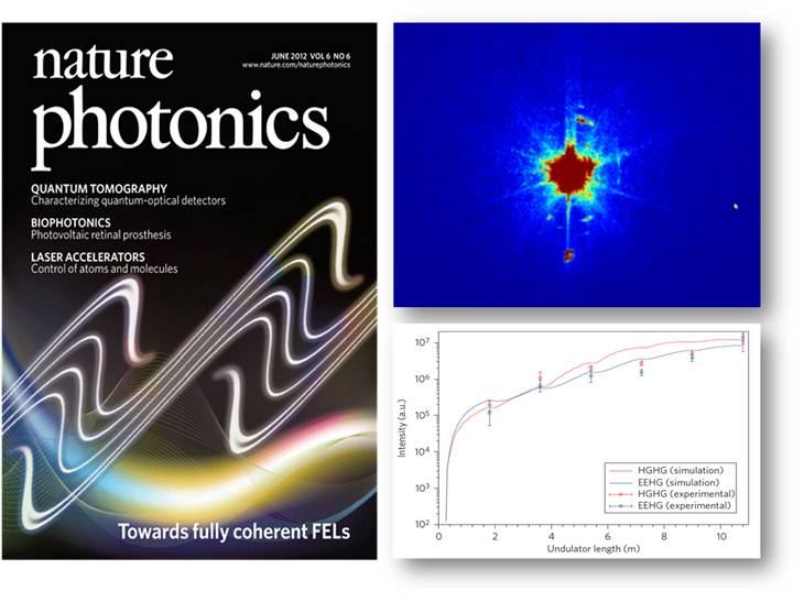 Gain curves of the EEHG and HGHG FEL at SDUV-FEL. Intensity is measured