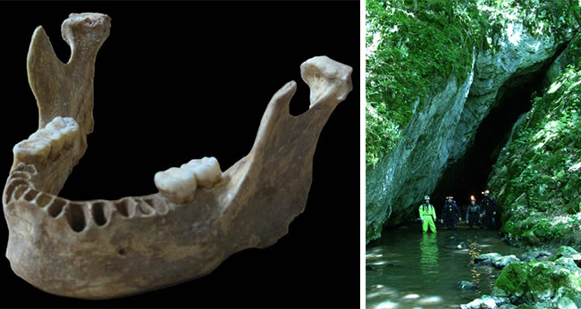 Scientists Discover an Early Modern Human with a Recent Neanderthal Ancestor