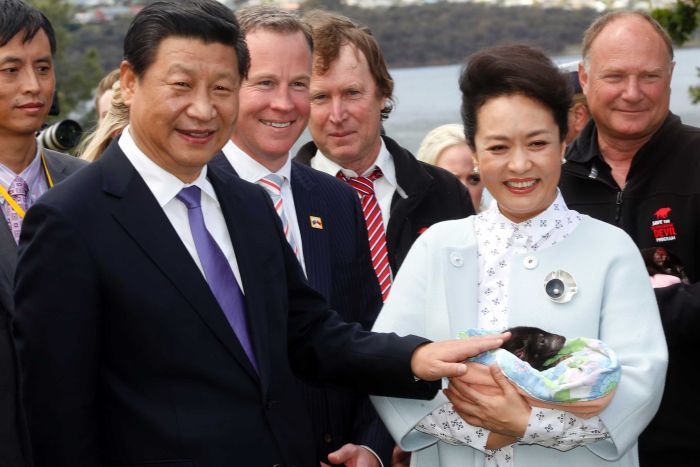 Chinese President's Brush with Tasmanian Devil Inspires Joint Effort to Save Threatened Species