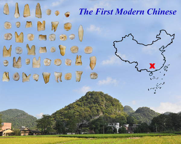 Scientists Sink Teeth into History of Humans in Asia