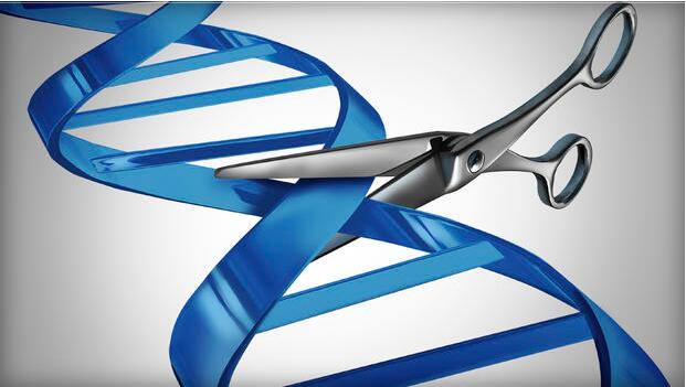 World Scientists Agree to Take Cautious Step toward Human Gene Editing