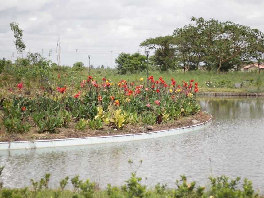 Big Read: Botanical Garden to Preserve Plants, Diversify Crops, Make Herbal Medicine