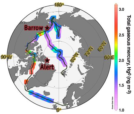 The Arctic Ocean Acts As A Source of Mercury to the Atmosphere during Summer
