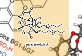 SIMM Isolates Unique Compounds from Mangrove Plants