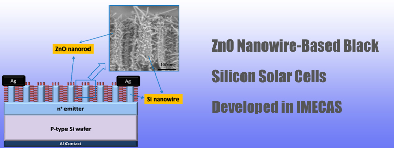 Scientists Develop ZnO Nanowire-Based Black Silicon Solar Cells