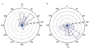 Bats Respond to Very Weak Magnetic Fields