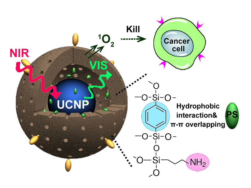 Multifunctional Rattle-Structured Upconversion Nano-Bioprobe Revealed.png