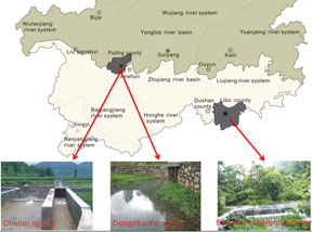 Factors Controlling Behavior and Stable Carbon Isotope Composition Changes of Dissolved Inorganic Carbon in SW China Karst Catchments