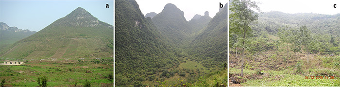 Soil Erosion Rates in Karst Peak-cluster Depression Basins of Northwest Guangxi, China