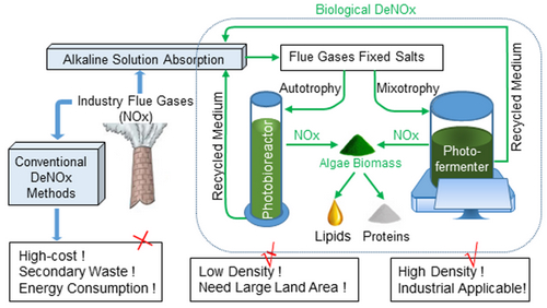 Mixotrophic Cultivation of Microalgae Provides Feasibility and Practicality in Biological DeNOx of Industrial Flue Gas