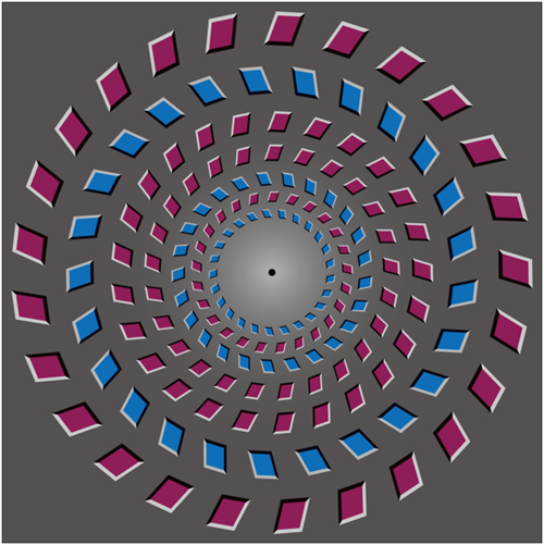 Representation of Pinna Illusory and Physical Rotations in Human MST