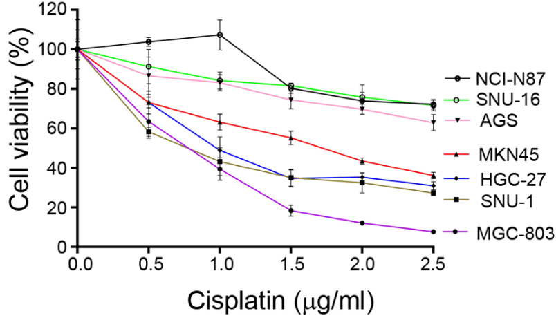 RECQL4 expression level affects sensitivity to cisplatin treatment..png