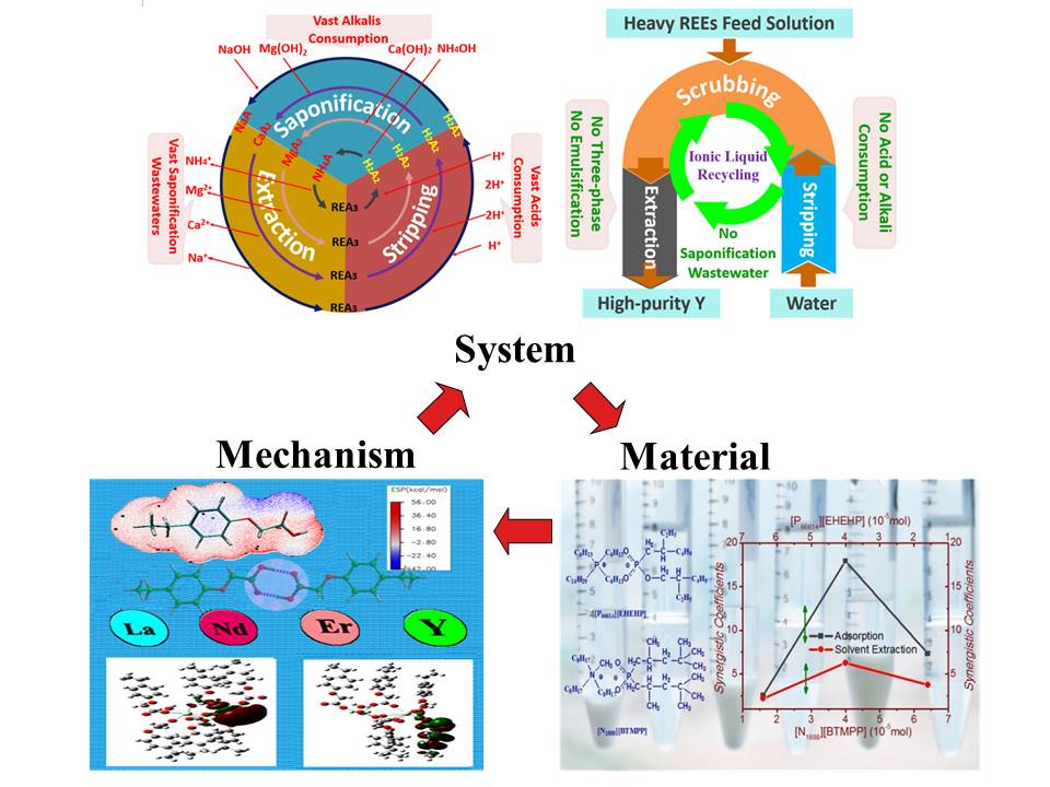 Representation of separation system, mechanism and material studies for rare earth.jpg