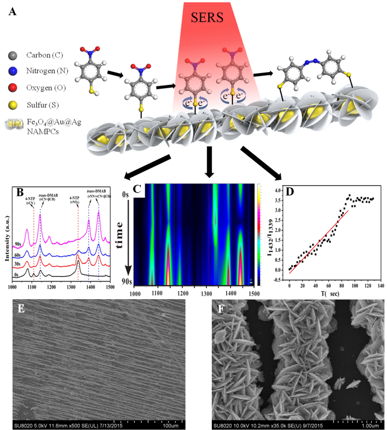 SERS monitoring studies of the catalytic reaction on the Fe3O4@Au@Ag NAMPCs