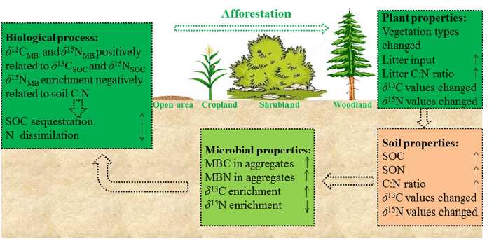Afforestation Impacts Microbial Biomass and Its Natural <sup>13</sup>C and <sup>15</sup>N Abundance in Soil Aggregates