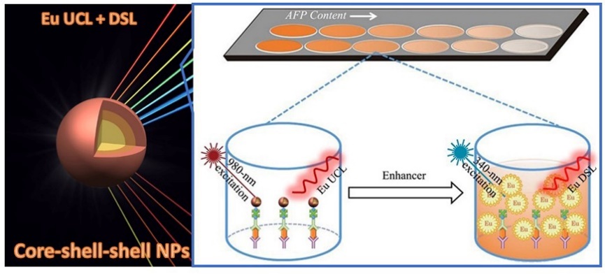 Schematic illustration of AFP detection by utilizing Eu3+-activated core-shell-shell red nanoprobes functionalized with efficient UCL and dissolution-enhanced DSL of Eu3+.jpg