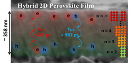 The Hybrid 2D Perpvslite Film_1.jpg