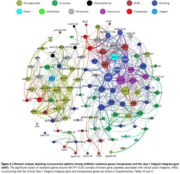 Network analysis depicting co-occurrence patterns amongst antibiotic resistance genes, transposases and the class 1 integron-integrase gene.