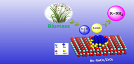 Production of primary amines from biomass-derived aldehydes and ketones.jpg