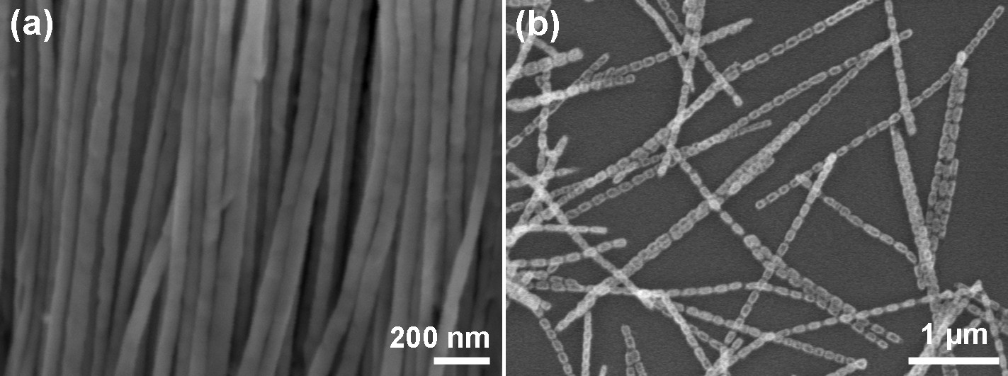 Annealing Behavior of Superlattice Nanowire Structure Helps to Expand Kirkendall Effect