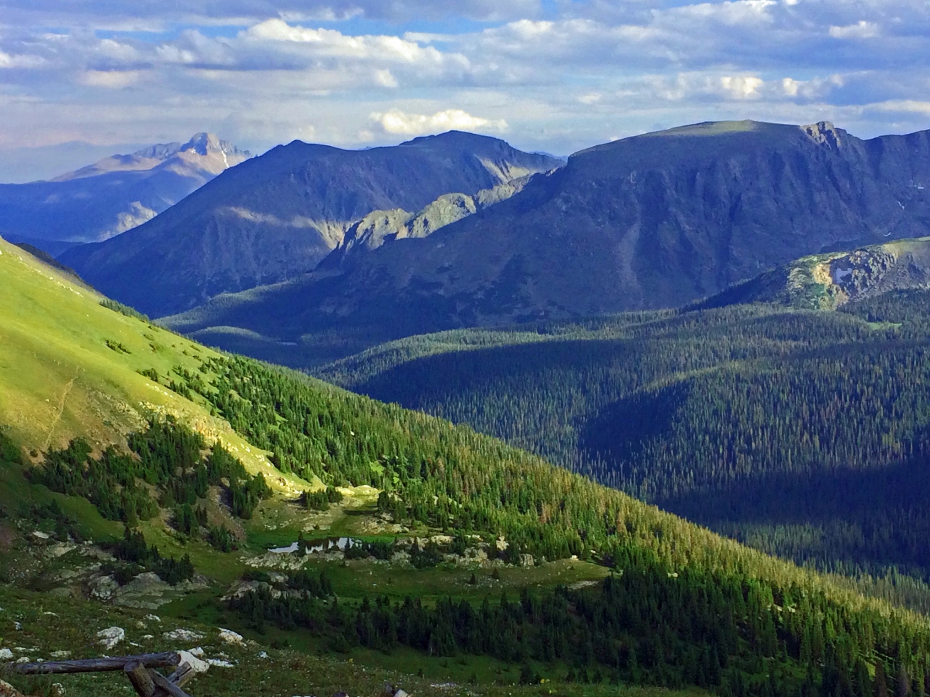 treeline.jpg