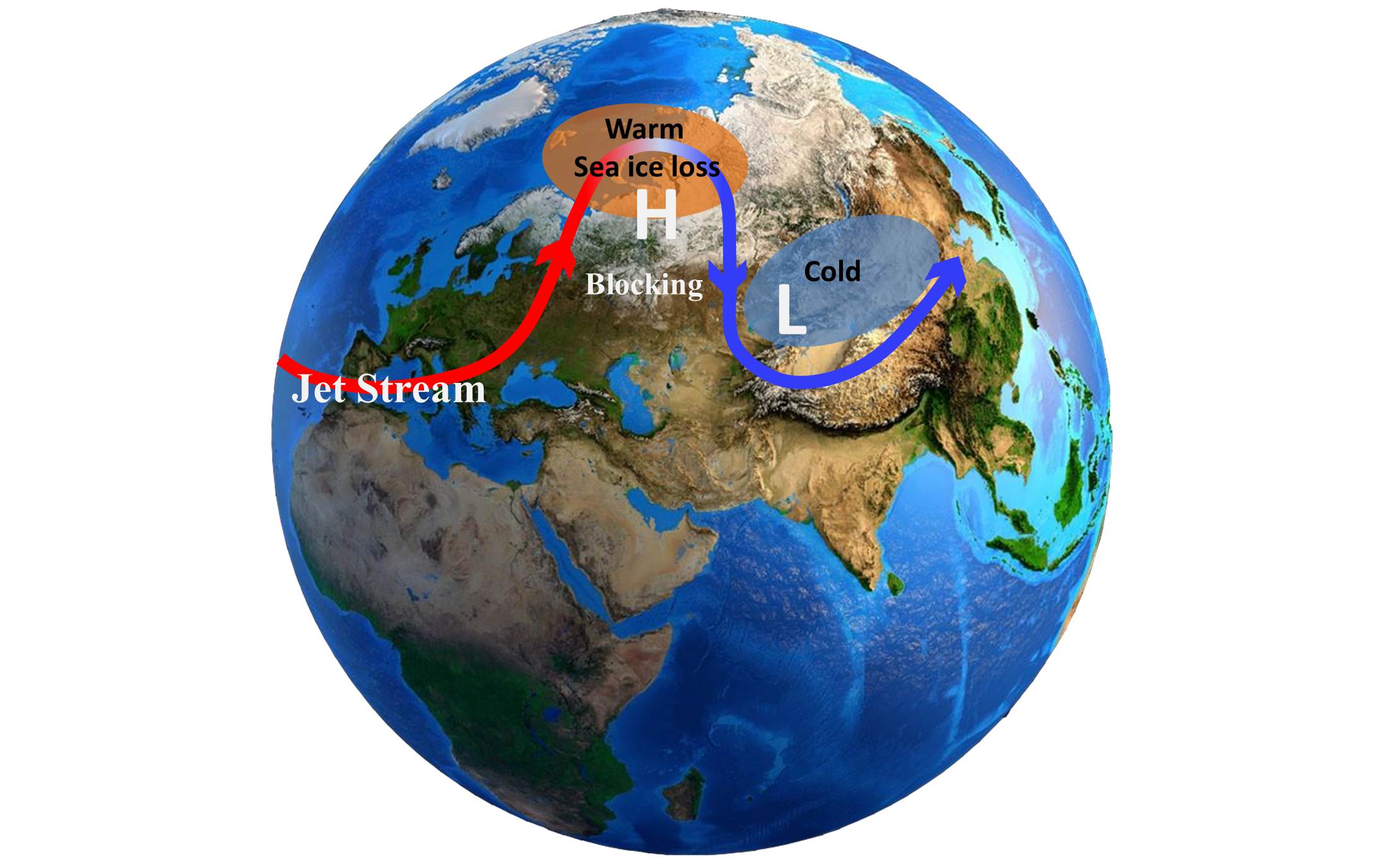 Arctic Warming to Increase Eurasian Extreme Cold Events