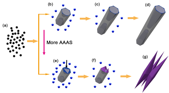 A Facile Route to Realize Controllable Synthesis of Te Nanostructures in Large Quantity