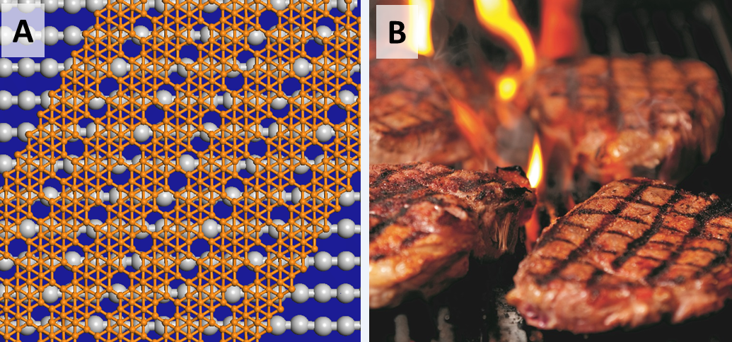 (A) Atomic model of striped borophene nanoribbon lying on a silver surface, similar to (B) grill marks on steaks