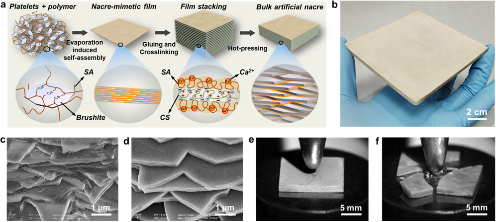 Fabrication and characterization of bulk artificial nacre