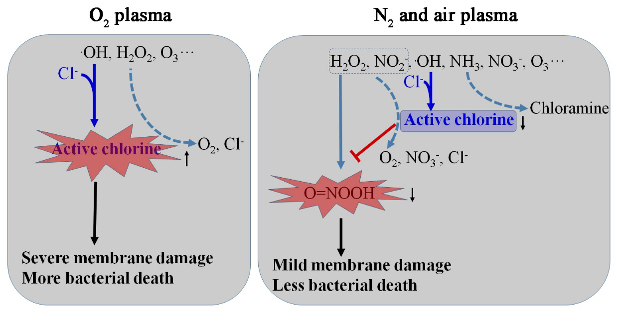 The effect and mechanism of chloride on bacterial inactivation by discharge plasmas using different types of gases. (Image by KE Zhigang)