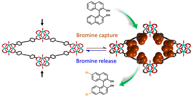 Researchers Reveal Flexible Zr-MOFs as Bromine-Nanocontainers for Bromination Reactions