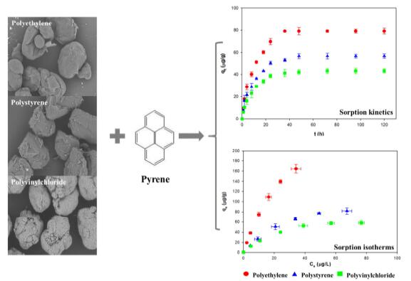 sorption kinetics and isotherms of pyrene onto microplastics (Image by WANG Wenfeng).jpg