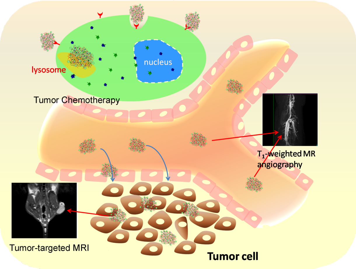 A PH-responsive Nanothernostic Agent to Realize Diverse Applications in the Biomedical Field