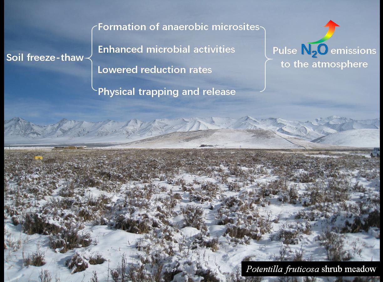 Soil freeze-thaw and nitrous oxide emission.jpg