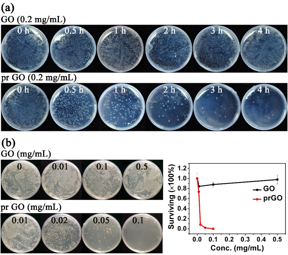 Dependence of bacterial inactivaton by GO and prGO on exposure time
