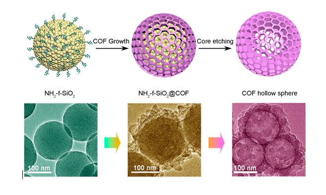 Importance of Surface Modification in Controllably Fabricating Highly Ordered Covalent Organic Frameworks (COFs)