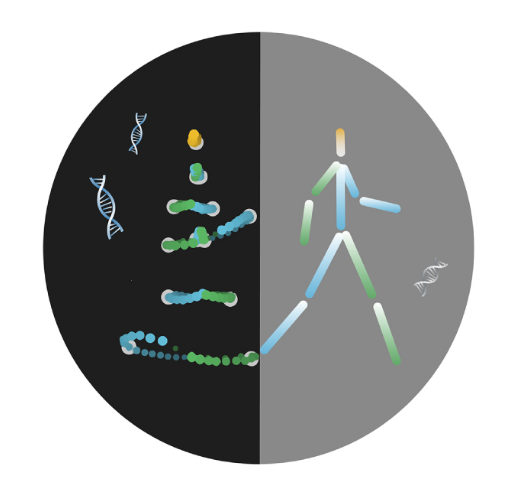 Pattern recognition: Genes may partly account for difficulties in processing biological motion.