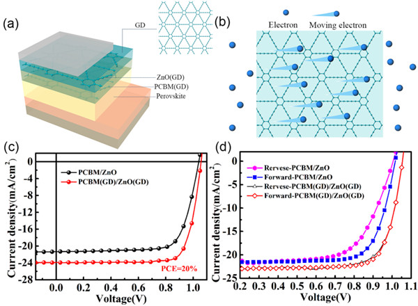 New Perpective of Solar Cells Based on Dual Doping Graphdiyne