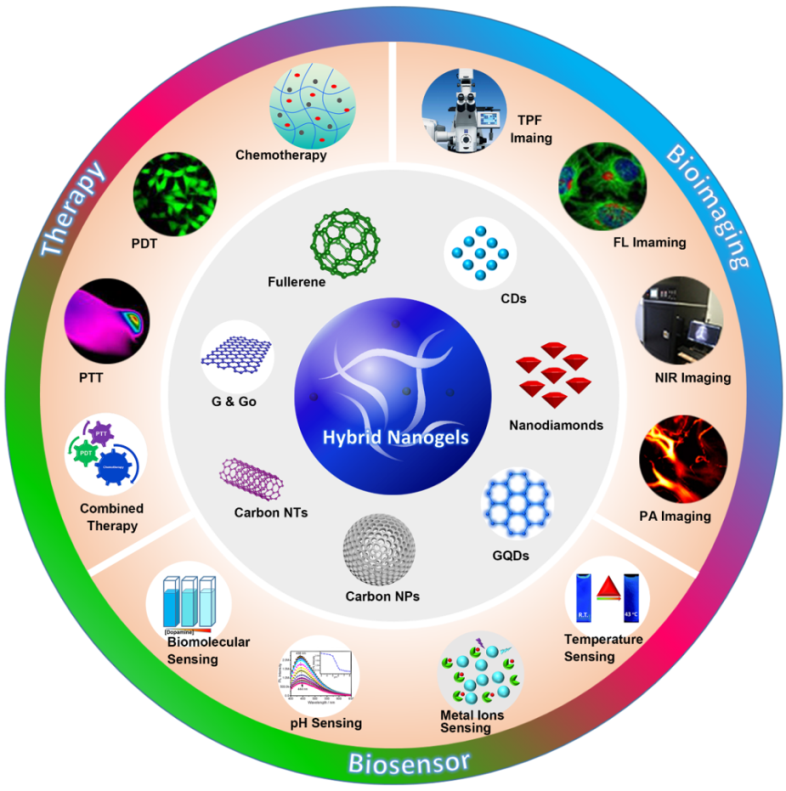Carbon-based hybrid nanogels for biomedical applications