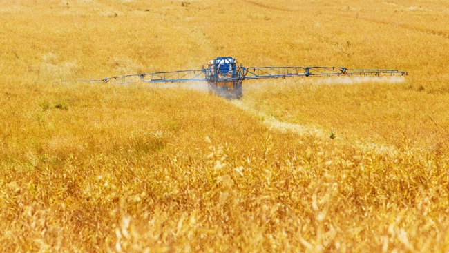 Agriculture.jpg