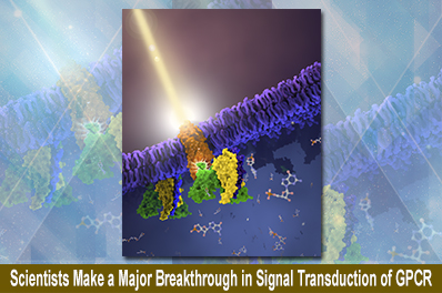 Signal Transduction of GPCR.jpg