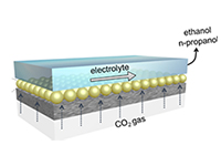 Core/shell-vacancy engineering (CSVE) catalyst enables efficiently electrochemically reducing CO2 to multi-carbon alcohols.jpg